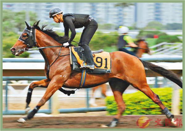 香港马资料更新最快的,全要素治理协同实施_拥抱明天67.41.33