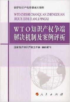 国际知识产权保护争端解决机制研究