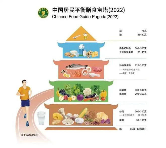 家庭饮食结构小建议，实现营养均衡的饮食目标