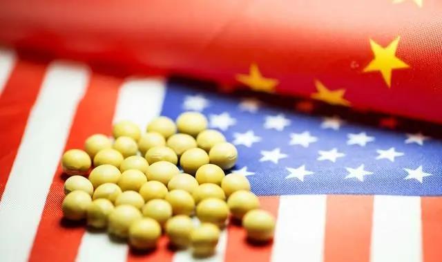 美国全面封禁中国商品，科技到大蒜的全面影响与挑战