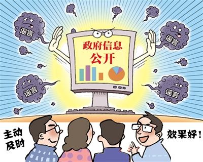 政府信息公开中的隐私保护问题解决方案探讨