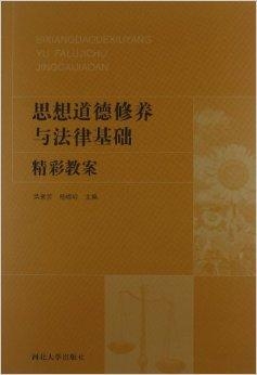 法律伦理中的道德判断与法律执行，一种深度探讨