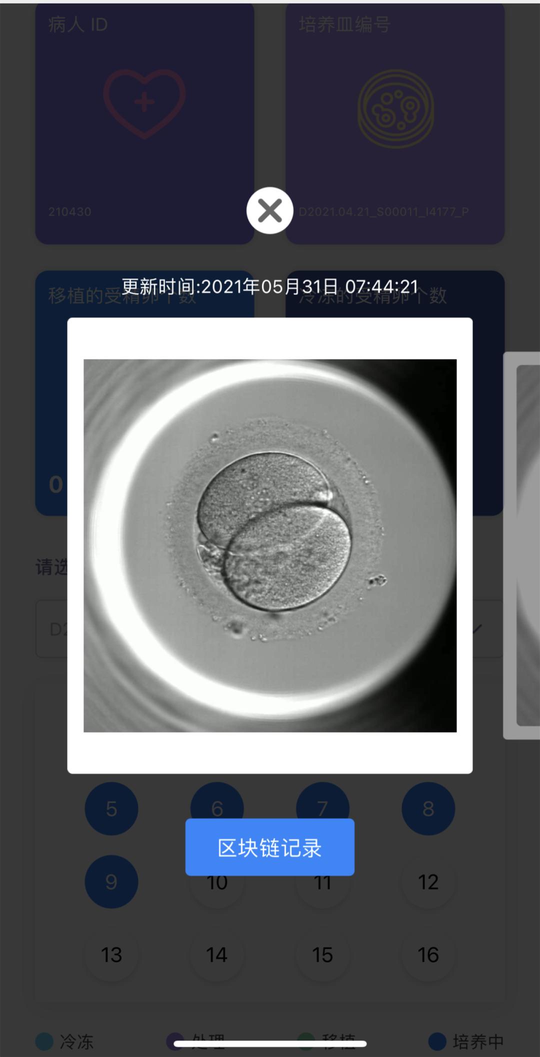 区块链技术对数据存储安全性的法律影响