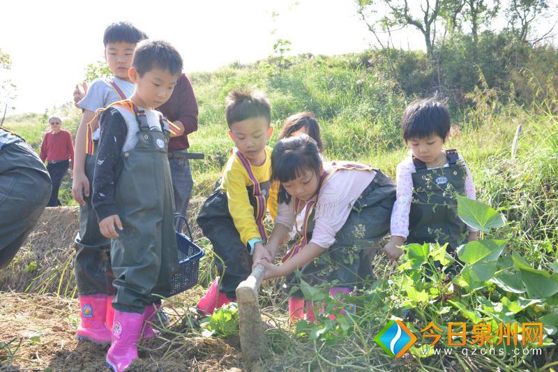 课外活动对学生体能和智力的双重提升