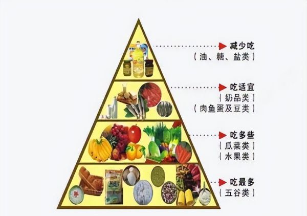 提升日常健康水平的饮食调整建议