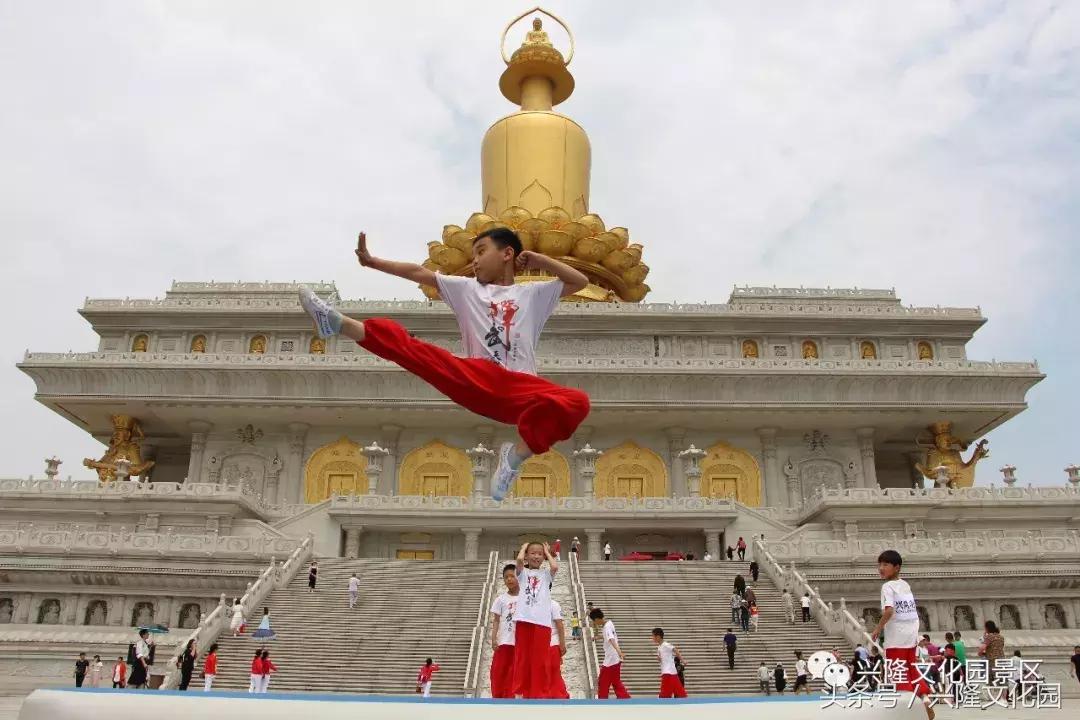 校园在线教育平台的兴起与传统课堂的对比