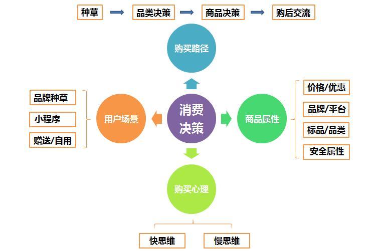 个性化服务如何影响用户的娱乐决策